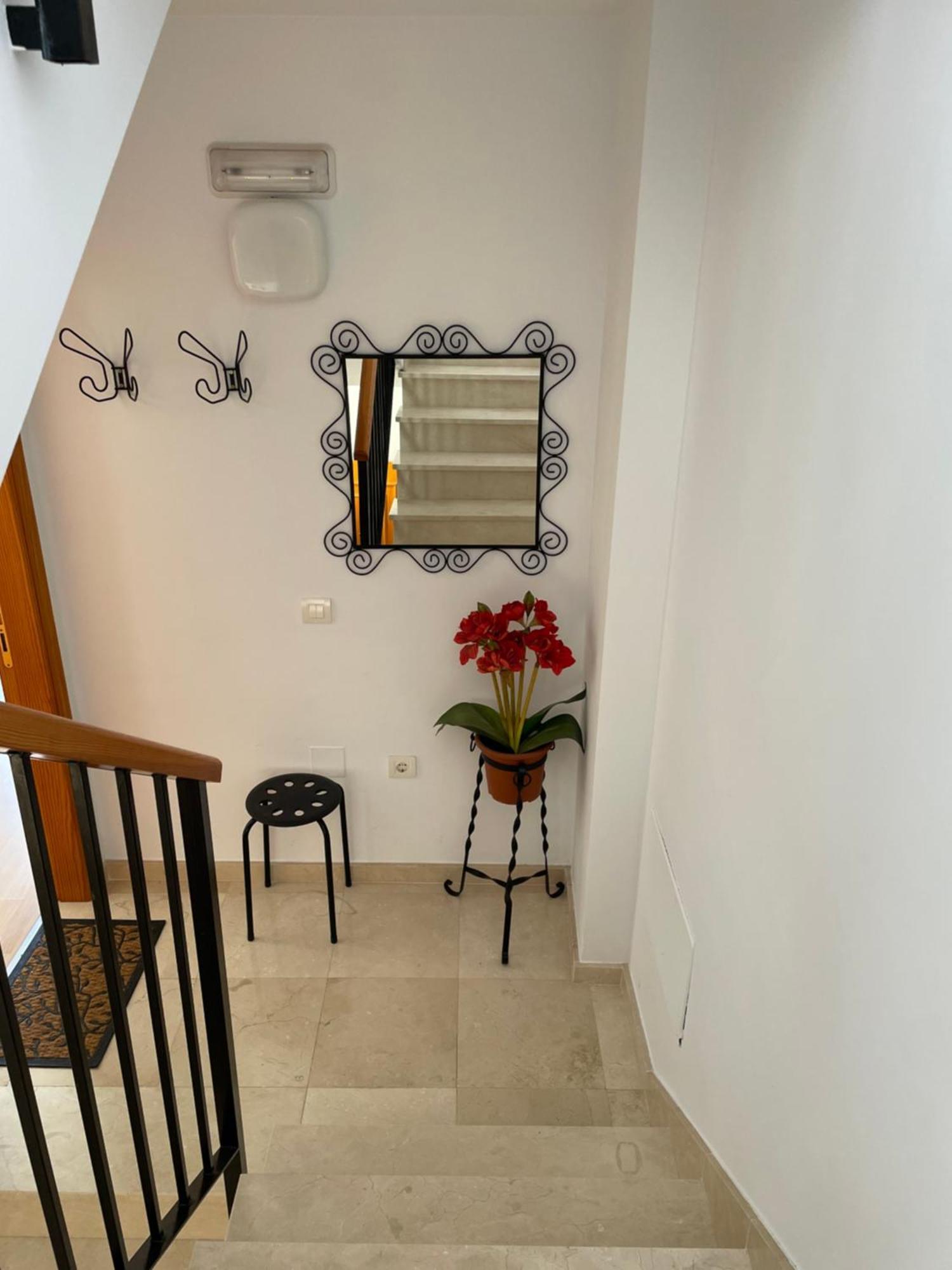 Apartment With Terrace 阿达莱斯 外观 照片